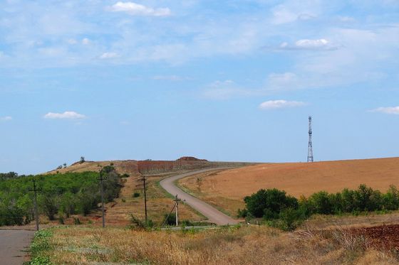 Каждая 6-я пачка макарон в России – саратовская. Визит министра сельского хозяйства РФ